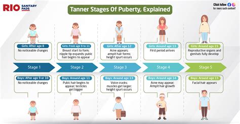 big tit teen gif|Stages of Puberty Explained in Pictures